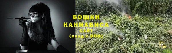 ешки Осинники