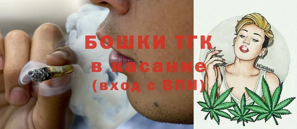 дживик Осташков