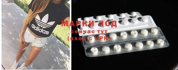 дживик Осташков