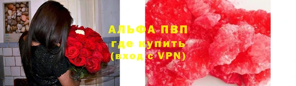 дживик Осташков