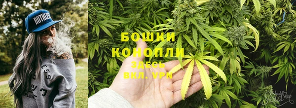 ешки Осинники