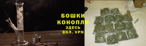 дживик Осташков