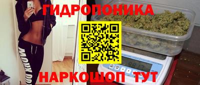Альфа ПВП Донецк