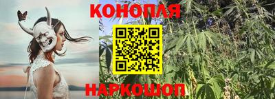 скорость Берёзовский