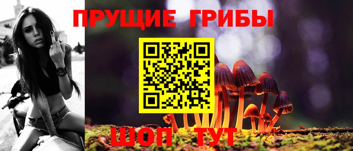 Псилоцибиновые грибы GOLDEN TEACHER Иваново