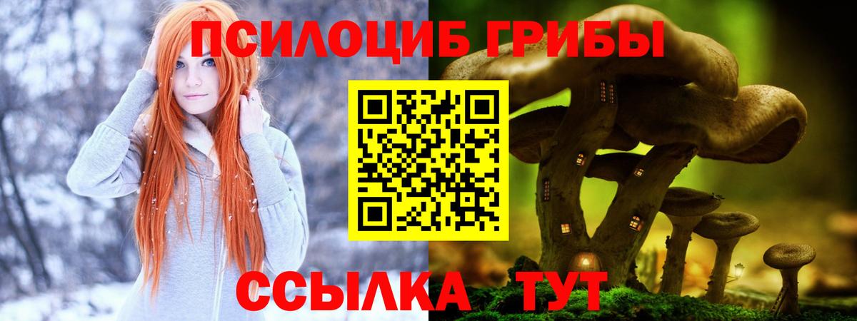 Иваново  Псилоцибиновые грибы Psilocybine cubensis  Вход с VPN 