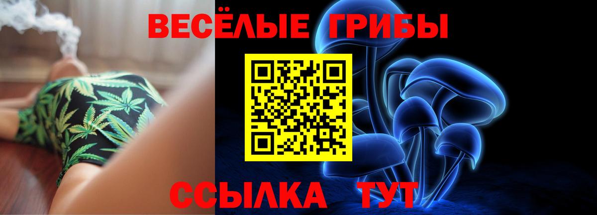 где купить наркоту  Иваново  Галлюциногенные грибы Psilocybine cubensis 